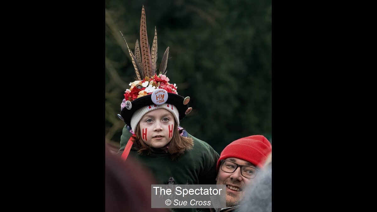 The Spectator